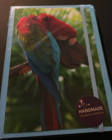 Colorfullworld 27notitieboekjes