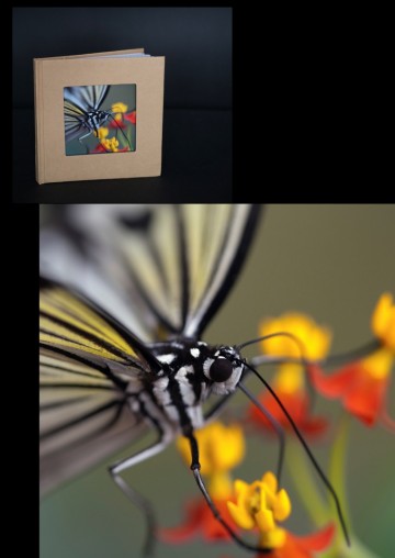 Colorfullworld 2notitieboekjes