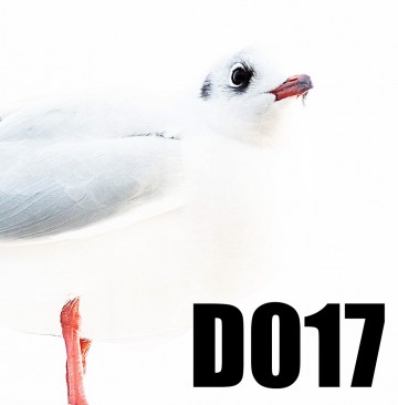 Colorfullworlddubbel017