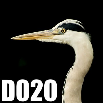 Colorfullworlddubbel020