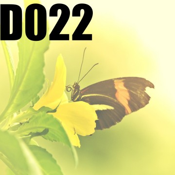 Colorfullworlddubbel022