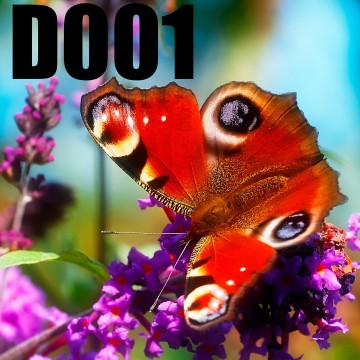 Colorfullworlddubbel1