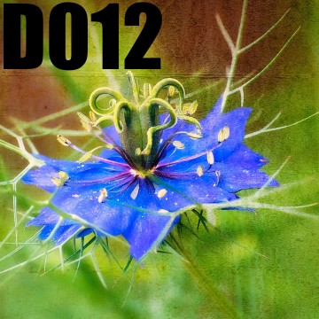 Colorfullworlddubbel12