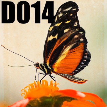 Colorfullworlddubbel14