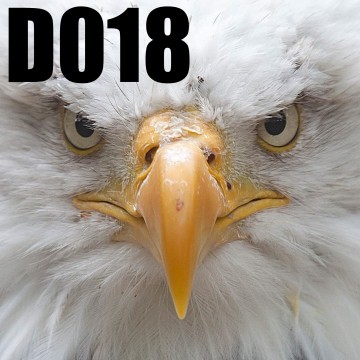 Colorfullworlddubbel18