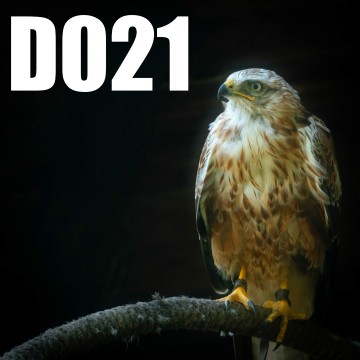 Colorfullworlddubbel21