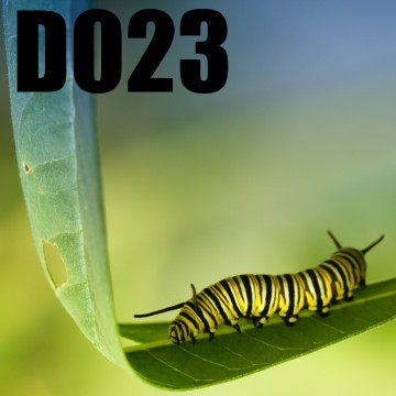 Colorfullworlddubbel23