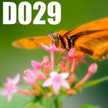 Colorfullworlddubbel29