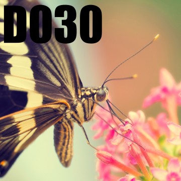 Colorfullworlddubbel30