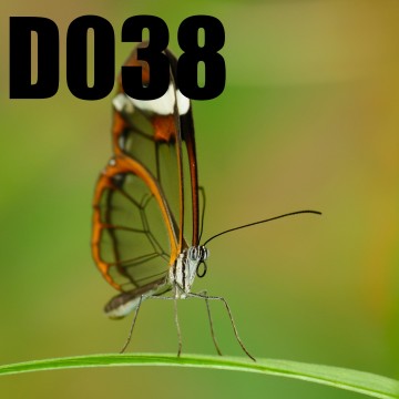 Colorfullworlddubbel38