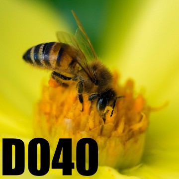 Colorfullworlddubbel40