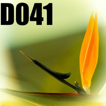 Colorfullworlddubbel41