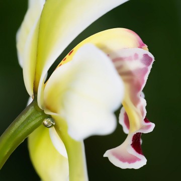 Colorfullworldenkelkaart1 0