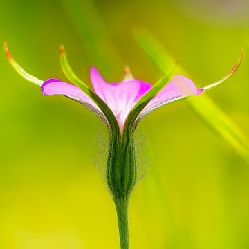 Colorfullworldenkelkaart1 2