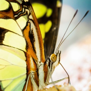 Colorfullworldenkelkaart1 3