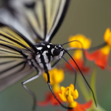 Colorfullworldenkelkaart1 4