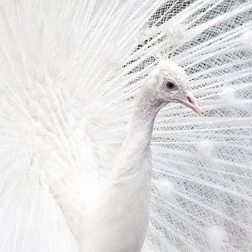 Colorfullworldenkelkaart1 6