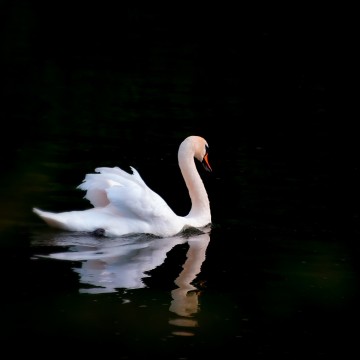 Colorfullworldenkelkaart1 9