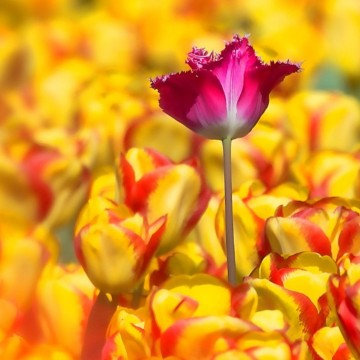 Colorfullworldenkelkaart2 0