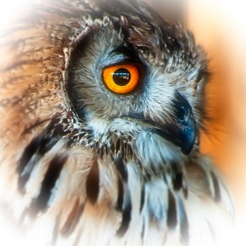 Colorfullworldenkelkaart2