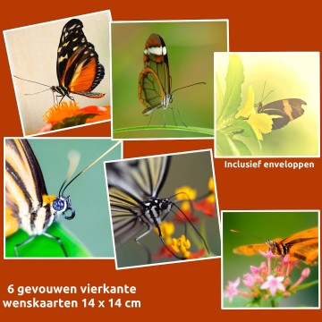 Colorfullworldkaart 1