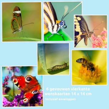 Colorfullworldkaart 2