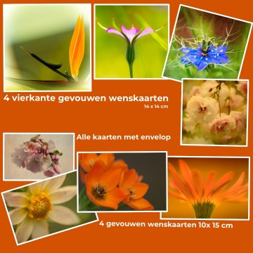 Colorfullworldkaart 5