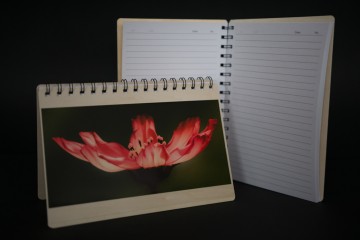 Colorfullworldnotitieboekjes