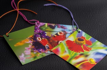 Colorfullworldprodukten 10