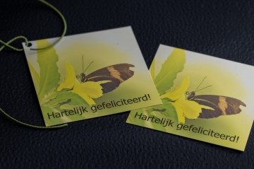 Colorfullworldprodukten 14 0