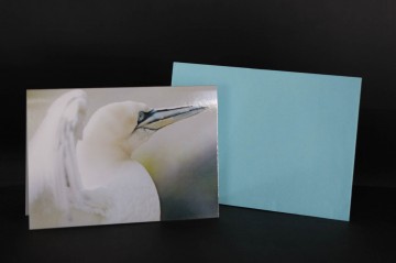 Colorfullworldprodukten 3 0