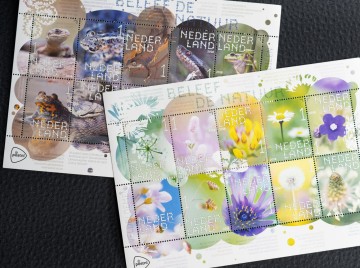 Colorfullworldprodukten 8